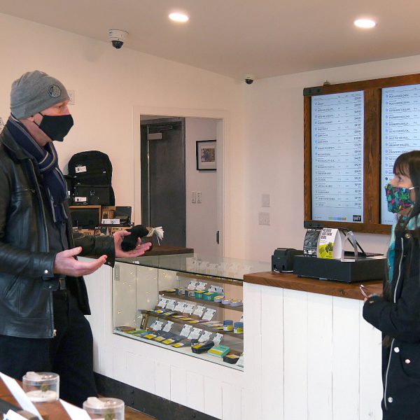 Xatśūll researches cannabis options for Emporium site