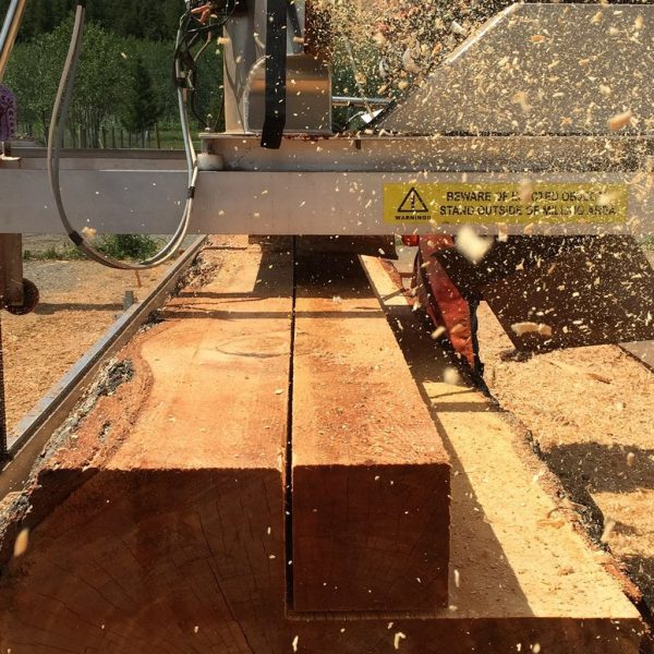 Xatśūll announces new sawmill training program