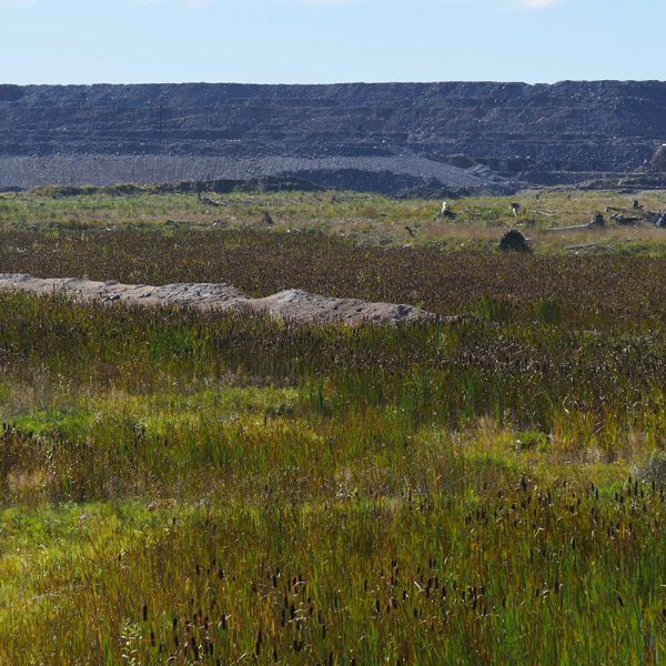 Mount Polley Reopen Survey