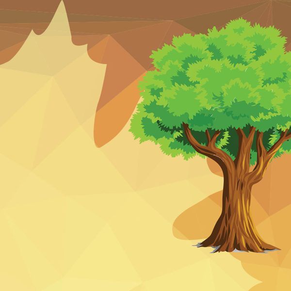 Community Forest Name and Logo Contest