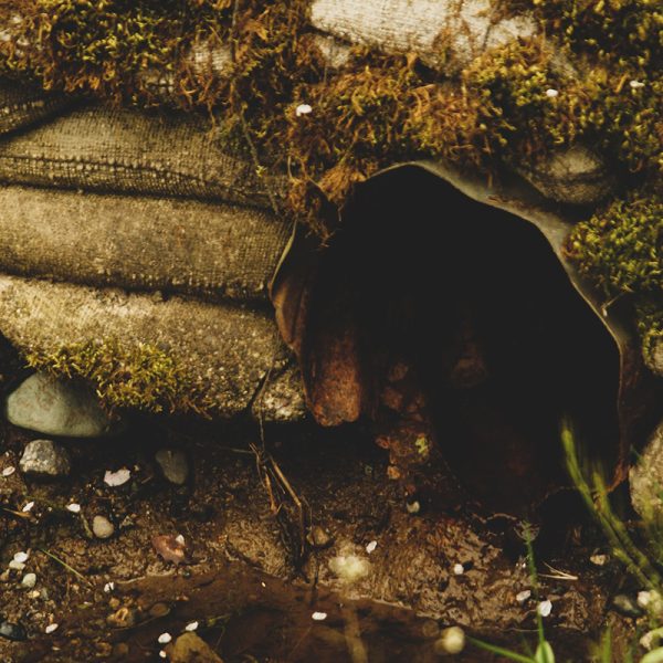 Deep Creek Culverts