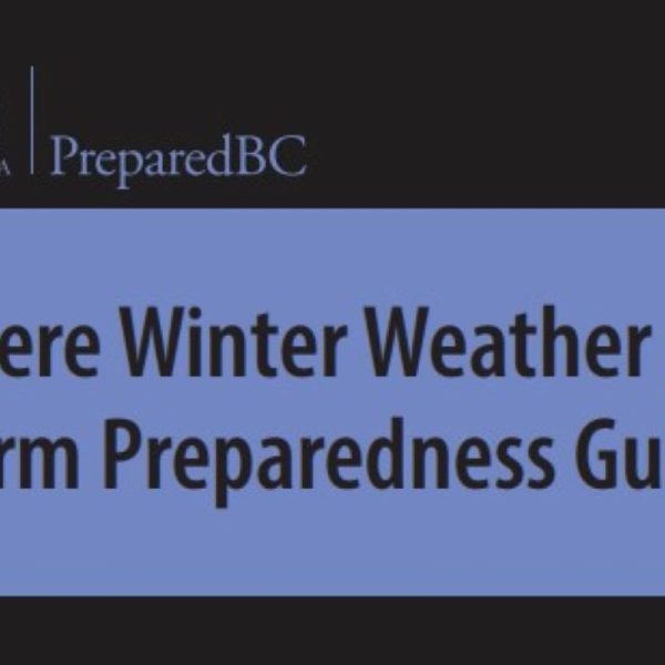 Winter Weather and Storm Preparedness Guide