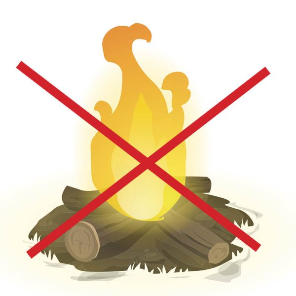 No Campfires Please !