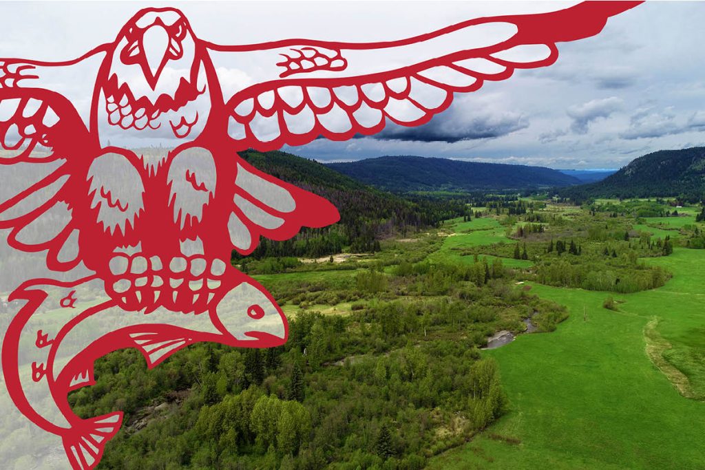 Hawks Creek Logging Plans Meeting
