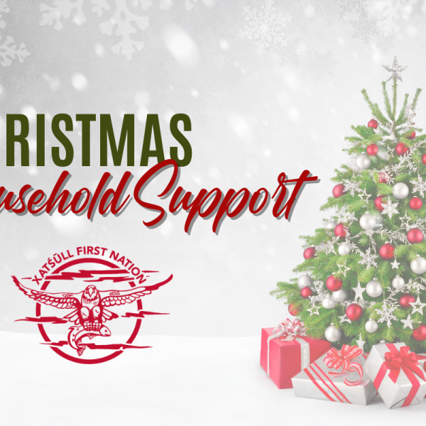 Christmas Household Support