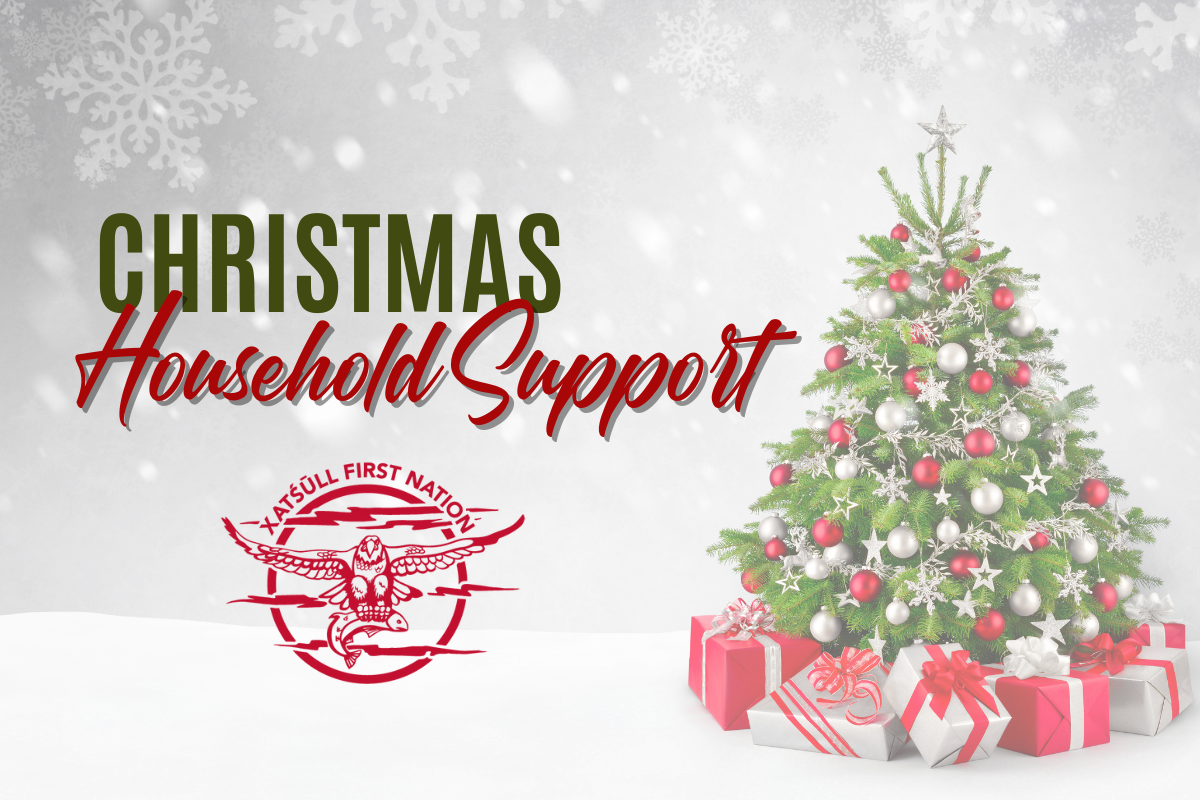 Christmas Household Support