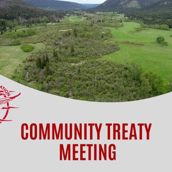 Community Treaty Meeting