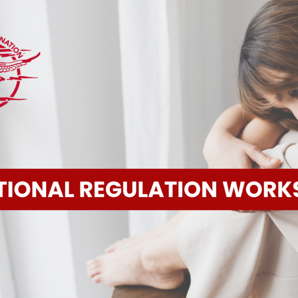 Emotional Regulation Workshop