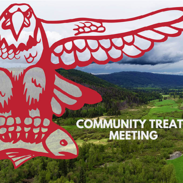 Post-Treaty Governance Meetings in May
