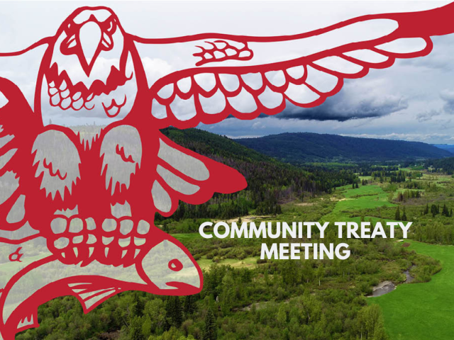Post-Treaty Governance Meetings in May