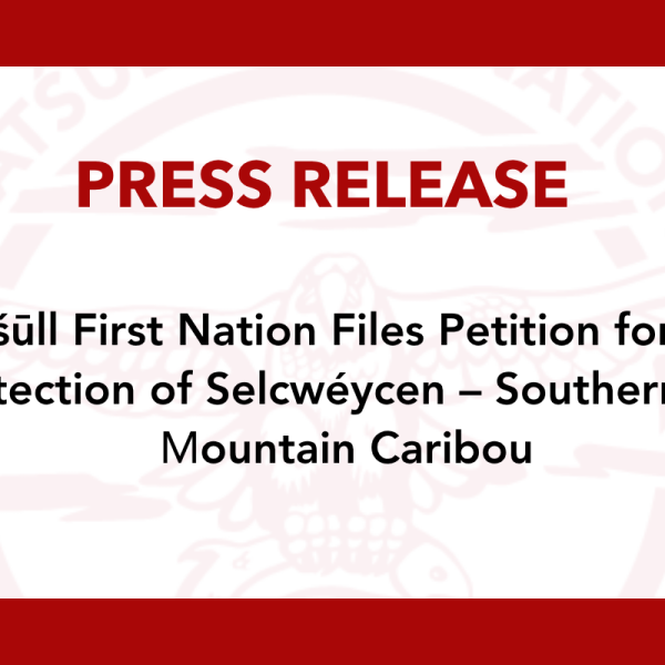 Xatśūll First Nation Files Petition for the Protection of Selcwéycen – Southern Mountain Caribou
