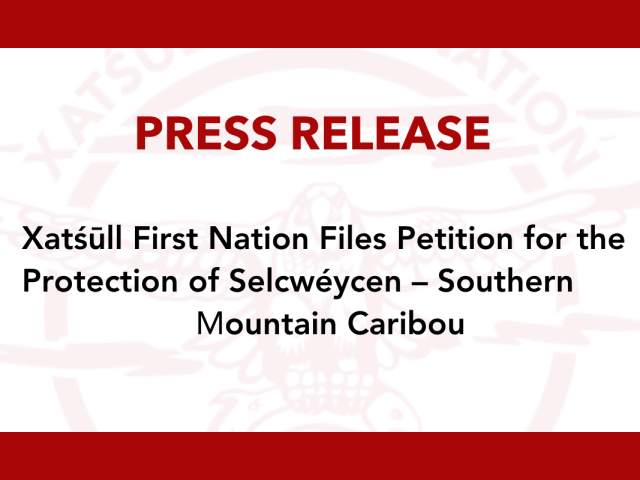 Xatśūll First Nation Files Petition for the Protection of Selcwéycen – Southern Mountain Caribou