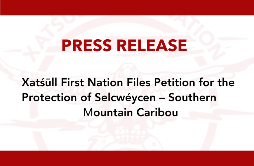 Xatśūll First Nation Files Petition for the Protection of Selcwéycen – Southern Mountain Caribou